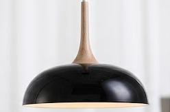 The Alta Scandi-Black Pendant